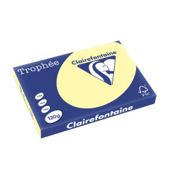 RAMETTE 250F REPRO CLAIREFONTAINE 120G A3 CANARI