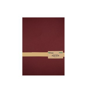 25 FEUILLES PAPIER KRAFT A3 160G