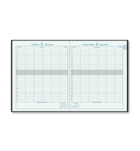 AGENDA JOURNEE PLANIFIEE EXACOMPTA 13.5X21 CM