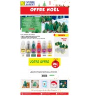 PACK 4 ACRILIQUES ASS+2GELS PAILLETE+30 SAPINS 11CM