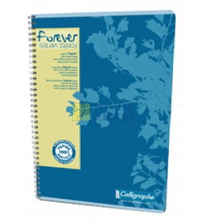 CAHIER SPIRALE 180P LIGNE RECYCLE 70G A4