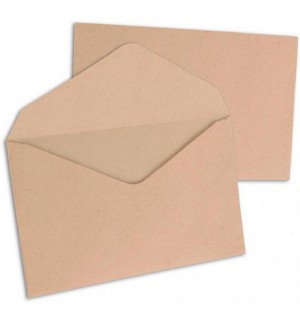 500 ENVELOPPES BULLE ELECTION 90X140mm 64G