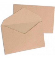 500 ENVELOPPES BULLE ELECTION 90X140mm 64G
