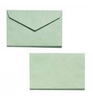 500 ENVELOPPES VERTES ELECTION 90X140mm 64G