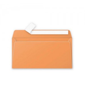 ENVELOPPE 110X220mm CLEMENTINE AUTO ADHESIVE 120G - PAQUET DE 50