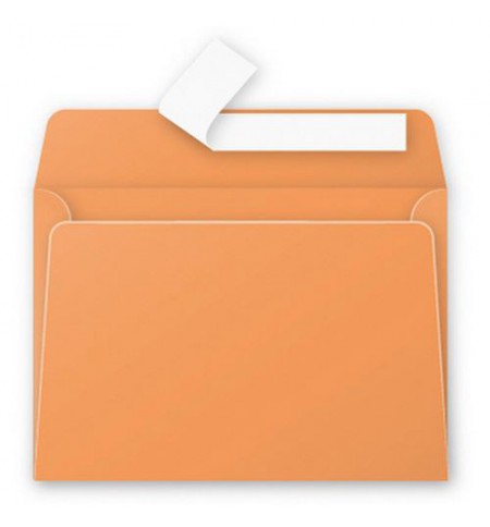 ENV55496-enveloppe-114x162mm-clementine-auto-adhesive-120g---paquet-de-50