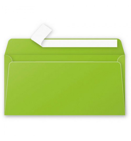 ENV55545-enveloppe-110x220mm-vert-menthe-auto-adhesive-120g---paquet-de-50