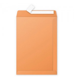 POCHETTE 229X324mm CLEMENTINE AUTO ADHESIVE 120G - PAQUET DE 50