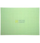 FIB101V-fiches-bristol-75x125-vert-5x5-paq-100