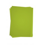 PAPIER CARTADOR 50X65 ETUI 25 FLES VERT POMME 270GRS