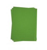 PAPIER CARTADOR 50X65 ETUI 25 FLES VERT EMPIRE 270GRS