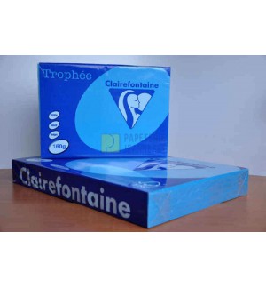 RAMETTE 250F REPRO CLAIREFONTAINE 160G A4 BLEU TURQUOISE