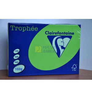 RAMETTE 250F REPRO CLAIREFONTAINE 160G A4 VERT MENTHE