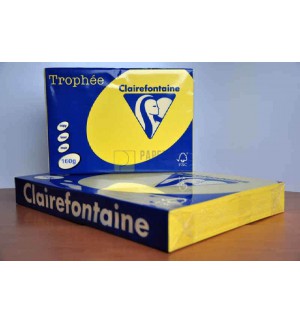 RAMETTE 250F REPRO CLAIREFONTAINE 160G A4 JAUNE SOLEIL