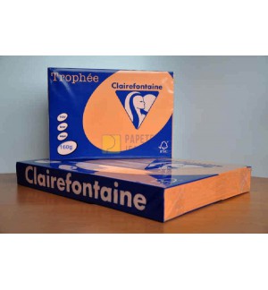 RAMETTE 250F REPRO CLAIREFONTAINE 160G A4 CLEMENTINE