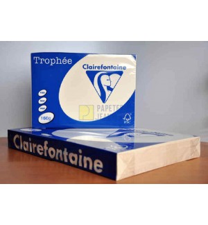 RAMETTE 250F REPRO CLAIREFONTAINE 160G A3 IVOIRE