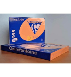 RAMETTE 250F REPRO CLAIREFONTAINE 120G A4 CLEMENTINE