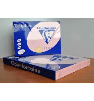 RAMETTE 250F REPRO CLAIREFONTAINE 120G A4 ROSE