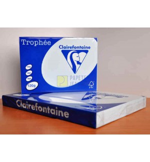 RAMETTE 250F REPRO CLAIREFONTAINE 120G A4 BLEU