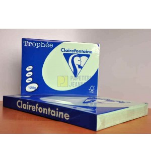 RAMETTE 250F REPRO CLAIREFONTAINE 120G A4 VERT