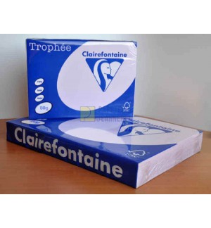 RAMETTE 500F REPRO CLAIREFONTAINE 80G A3 LILAS