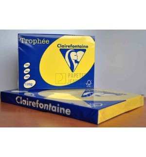 RAMETTE 250F REPRO CLAIREFONTAINE 120G A4 JAUNE SOLEIL