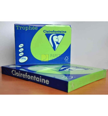 PAP1293-ramette-250f-repro-clairefontaine-120g-a4-vert-menthe