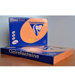 RAMETTE 250F REPRO CLAIREFONTAINE 120G A3 CLEMENTINE