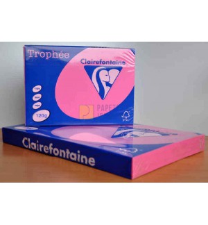 RAMETTE 250 FEUILLES A3 ROSE FUCHSIA 120G REPRO CLAIREFONTAINE