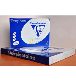 RAMETTE 250F REPRO CLAIREFONTAINE 120G A3 BLEU