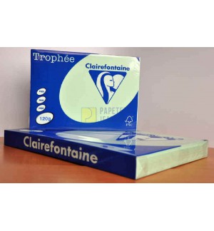 RAMETTE 250F REPRO CLAIREFONTAINE 120G A3 VERT