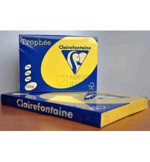 RAMETTE 250F REPRO CLAIREFONTAINE 120G A3 JAUNE SOLEIL