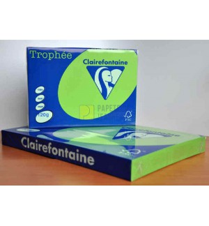 RAMETTE 250F REPRO CLAIREFONTAINE 120G A3 VERT MENTHE