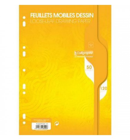 PAP7099-feuillets-mobile-dessin-a4-120g---paquet-de-80