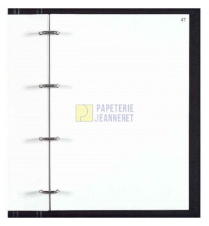 FEUILLETS MOBILES FOLIOTES - PAQUET DE 100