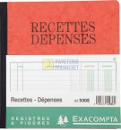 REG930-piqure-recettes-depenses-21x19cm