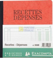 PIQURE RECETTES/DEPENSES 21x19cm