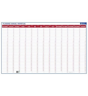 PLANNING ANNUEL PERPETUEL 60x99cm - 14 MOIS (DECEMBRE A JANVIER)