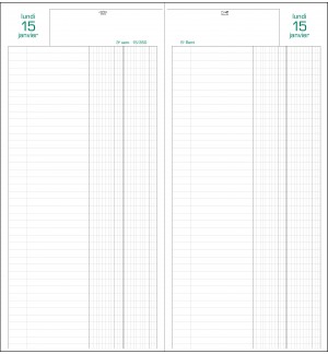 AGENDA LONG JOURNALIER BANQUIER 1 JOUR SUR 2 PAGES 33X14.3 CM