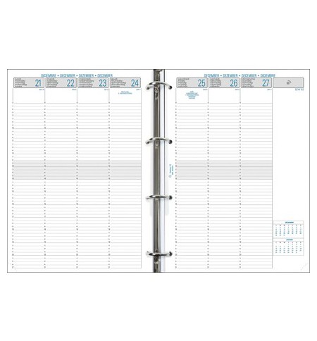AGE29272-recharge-semainier-organiseur-millesime-exatime-29