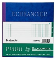 PIQURE ECHEANCIER EXACOMPTA REF960