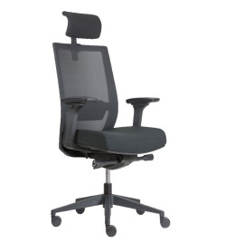 FAUTEUIL ERGONOMIQUE WELL + ACC.3D + TETIERE