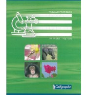 CAHIER PIQURE 17X22cm TP 96P 70/90G