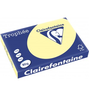 RAMETTE 250F REPRO CLAIREFONTAINE 160G A3 CANARI