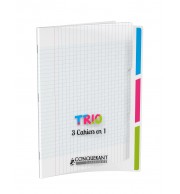CAHIER POLYPRO 3 EN 1 - 3 ENCOCHES COULEURS 24X32cm 96P
