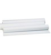 Bobine polyester indéchirable pour traceur jet d'encre 0.914X30M 110µ