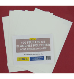 POLYESTER BLANC 75µ A4 - BOITE 100F