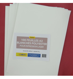 POLYESTER BLANC 75µ A3 - BOITE 100F