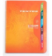 CAHIER TEXTES PIQURE 17X22cm 124P 5X5 70G