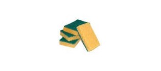 Eponges